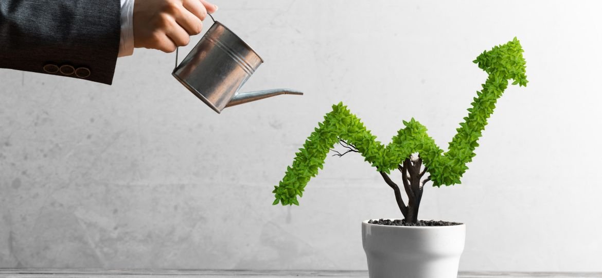Concept of investment income and growth with tree in pot